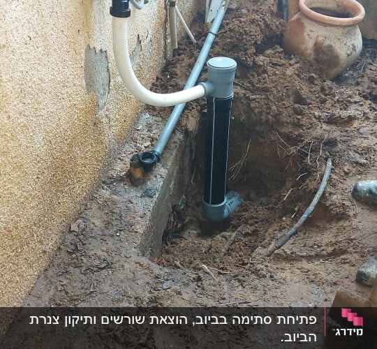 צינור ואקום מחובר לקיר עם חיבורים שונים